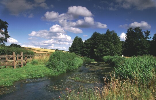 Tewinbury in summer